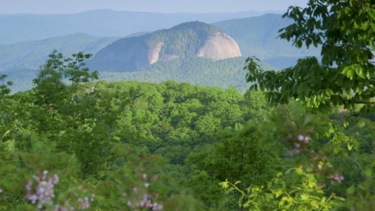 FLY AVL Rebrand Campaign